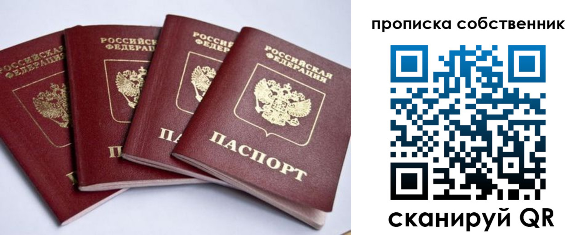 прописка для школы в Сорске